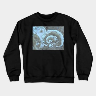 Lychen Curls Crewneck Sweatshirt